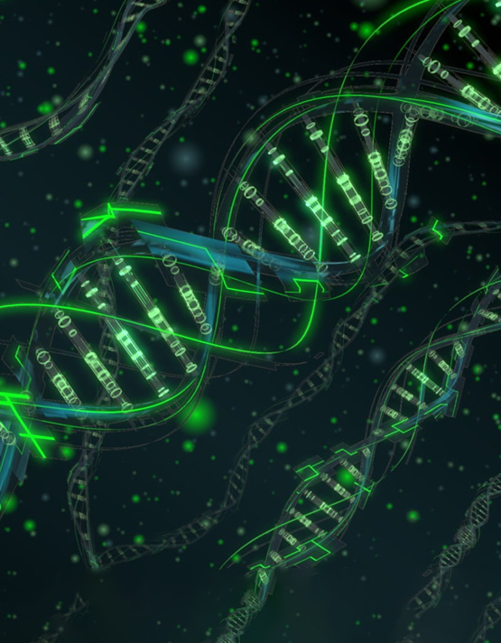 Coordination of biological processes