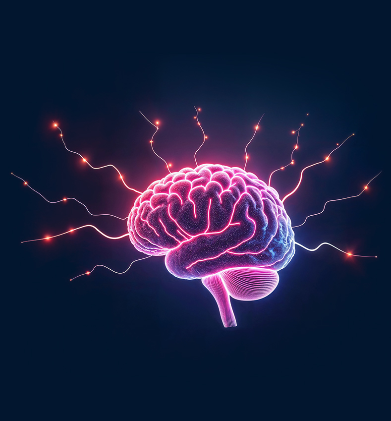 TRPC6 Channel Activation and Brain Plasticity