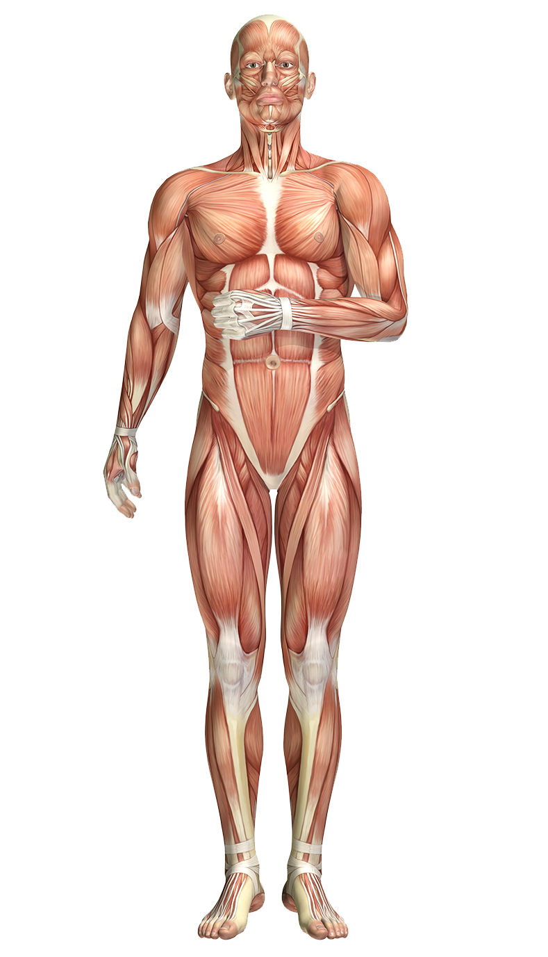 EFFECTIVENESS OF USE WITH CHEMOTHERAPY